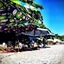 Summerday Beach Resort