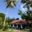 Maggie Garden Hostel