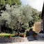 Hostal Montserrat