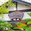 Sakura Sakura Onsen