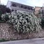 Pension Holidays