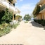 Complex Lemon Grove