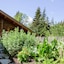 La Ferme Du Chozal
