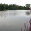Walden On The Pond Hotel