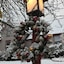 Arden Forest Inn