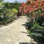 Soma Surf Resort