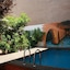 B&B Domus Atilia