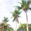 Shell Villa Apartel Resort