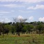 Mbalageti Serengeti