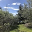 Blómasetrið Homestay