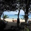 Tree House Bungalows Resort