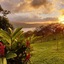Ceiba Tree Lodge