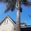 Harbour View Cottage Boutique B&B