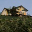 Dewy Cottage Nuwara Eliya