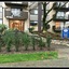 Pelicanstay in Burnaby Lake
