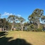 Glenaire Apartments On Frazer St