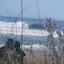 Pineapple Surf House