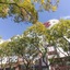 São Bento Gallery Apartment