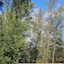 Hotel Resort & Golfe Clube Dos 500