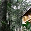 Chalé Da Floresta