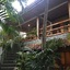 Love's Beach And Dive Resort