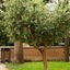 B&B Igea 50