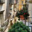 Camere Primavera B&B