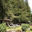 Lh Hotel Il Picchio