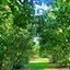 B&B Naturin - Cascina Colombaro