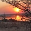 Travelodge Kasane