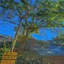 Seeking - Alishan Sunrise