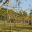 Suan Phueng Pa Wai Resort