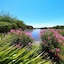 Riva Bella Naturiste Thalasso & Spa Resort