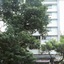 Hotel Surya Prakash