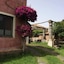 Codavolpe Giardino Di Tea
