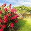 Trade Winds Country Cottages
