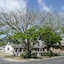 Paseo Suites