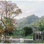 The Valley Khaoyai By Atkarut