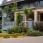 Acacia Tree Lodge