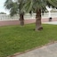 Bungalow In Santa Pola 100406