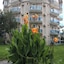 Rios Latte Beach Hotel