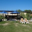 The Camping Field