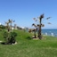 Apartment Playa De La Lucera