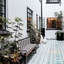 Casa Decu
