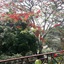 Riverine Cascade