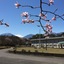 Nikko Toshogu Koyoen