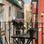 It's Room Naples