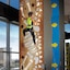 Discovery Hotel