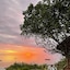 The Island - Pongwe Lodge - Adults Only