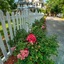 The Victoria B & B